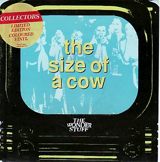 The Size Of A Cow