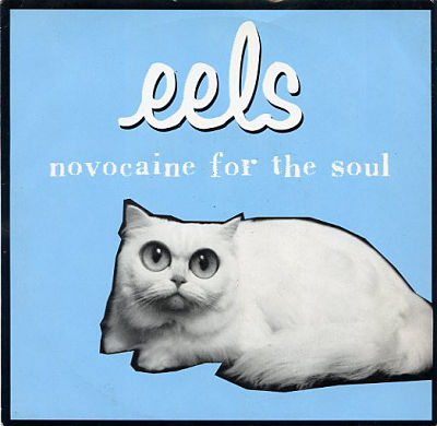 EELS, Novocaine For The Soul