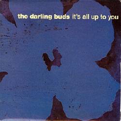 DARLING BUDS, It's All Up To You