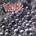 Rattus 